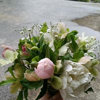 カスミソウ,カスミソウ,クリスマスローズ,クリスマスローズ,シャクヤクの画像