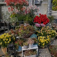 no green no life,植中毒,LOVE GREEN,みどりのある暮らし,萌え～❤の画像