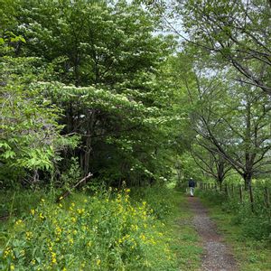 花のある暮らし,お散歩写真,緑のある暮らし,GSに感謝。,いつも笑顔で〜〜♡の画像