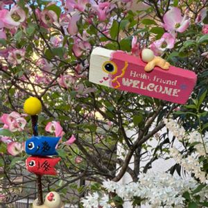ハナミズキ,ミモザ,ピンクパンサーさんのモルタルハウス,多肉の花芽,ハーバリウムの画像