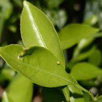 ベランダの画像