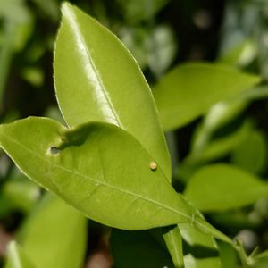 ベランダの画像