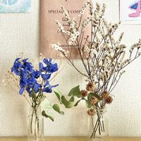 スターチス,ユーカリ,デルフィニウム,ドライフラワー,花のある暮らしの画像