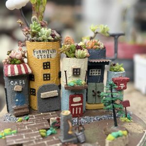 多肉植物,多肉植物寄せ植え,多肉寄せ植え,おうち時間,テラスの画像