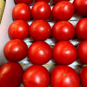 ミニトマト,花のある暮らし,緑のある暮らし,iPhone撮影,世界平和の画像