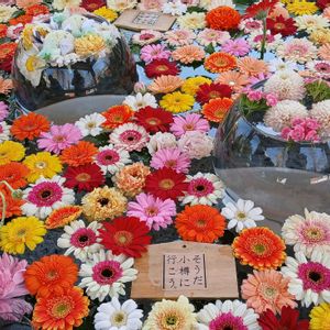 神社,花のある暮らし,おでかけ先,GS映え,花手水の画像