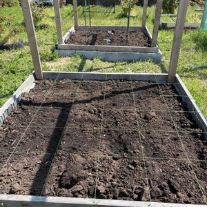 キュウリ,紅あずま,小玉スイカ,白いちご・エンゼルエイト,夢のコーンの画像