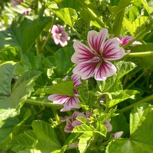 お出かけ先の画像