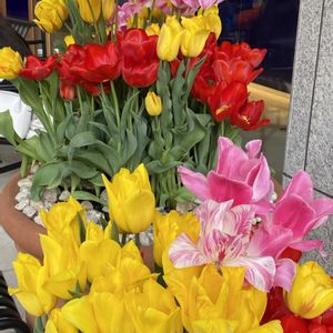 花のある暮らし,お出かけ先の画像