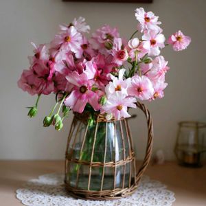 ラナンキュラスラックス,リキュア,福岡,備忘録,癒し…の画像