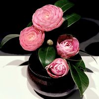 乙女椿,椿 つばき,観葉植物,お花,花器の画像