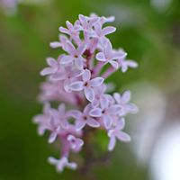 玄関アプローチの画像