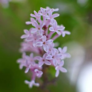 玄関アプローチの画像