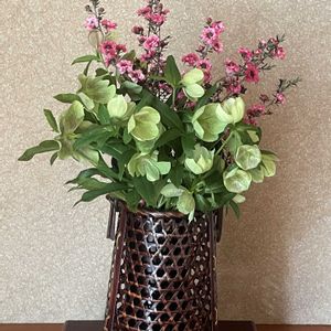 クリスマスローズ,ボタン,ギョリュウバイ,ドライフラワー,生花の画像