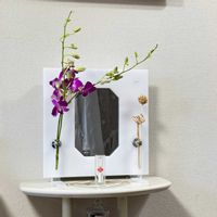 デンファレ（デンドロビウムファレノプシス）,花言葉,花のある暮らし,誕生花,GS映えの画像