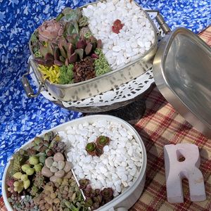 寄せ植え,多肉寄せ植え,ガーデニング,GSのみなさんに感謝♡,花いろいろの画像