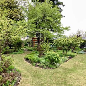 花のある暮らし,緑のある暮らし,安曇野の春,信州の春,魔女の生活の画像