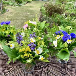 花のある暮らし,緑のある暮らし,安曇野の春,信州の春,魔女の生活の画像