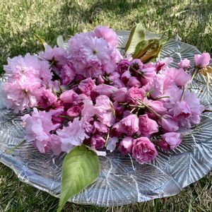 花のある暮らし,緑のある暮らし,安曇野の春,信州の春,地産地消の画像