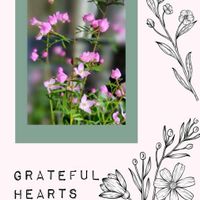 ボロニア,ボロニア,花のある暮らし♡,ウクライナに平和を,武器ではなく花をの画像