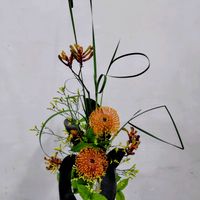ガマ,ガマ,ゴム,ゴム,シロヤマブキの画像