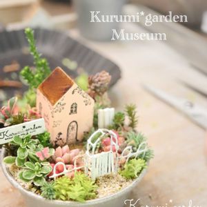 多肉植物 寄せ植え,箱庭,箱庭 多肉植物,ワークショップ作品,ワークショップ の画像