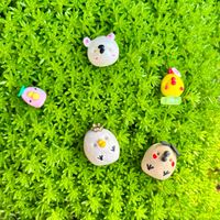 アジュガ,セダム,ミニ胡蝶蘭,ミニバラ・グリーンアイス,ミニひまわりの画像