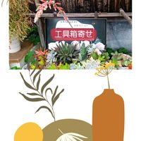 ガステリア,工具箱の画像