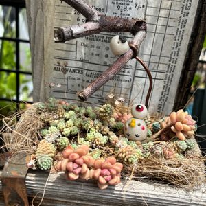 暴れ多肉,幸せを呼ぶフクロウ祭り,フクロウ祭,健康第一☘️,ハンドメイド♩ふぅの画像