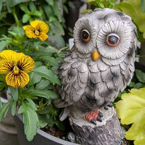 キュウリ,シラン,ナス,ニシキギ,ピーマンの画像