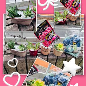 多肉植物,リメ缶,手作り,癒し,感謝の画像