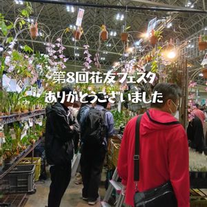 多肉植物,多肉大好き,洋ラン,花のある暮らし,つぶつぶの画像