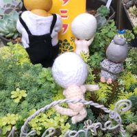 とうがらし,ロベリア,葉牡丹,パセリ,ジャスト・ジョイの画像