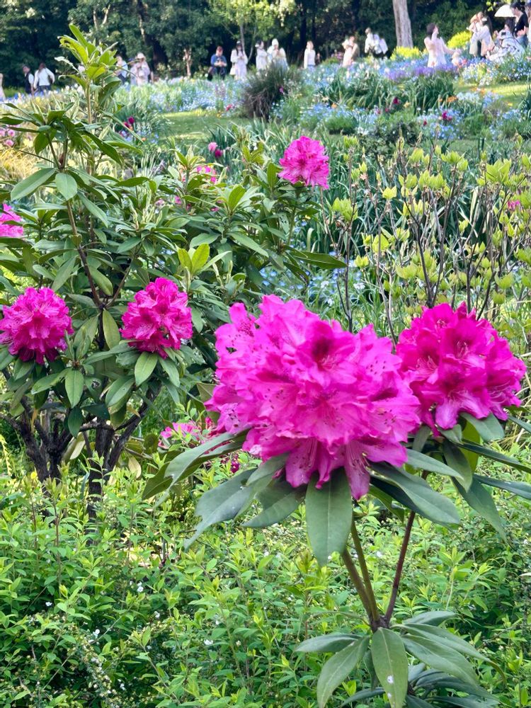 1723904
