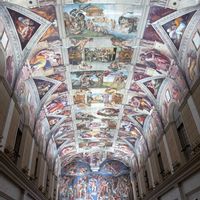 ネモフィラ,ポインセチア,玉ねぎ,金魚草,インコアナナスの画像