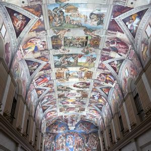 ネモフィラ,ポインセチア,玉ねぎ,金魚草,インコアナナスの画像