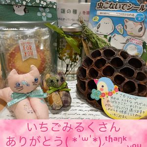 多肉女子,つながりに感謝,おうち園芸,7周年一斉プレ企画,バルコニー/ベランダの画像