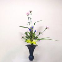 オクラレルカ,カーネーション,ナデシコ,タマシダ,ゴッドセフィアナの画像