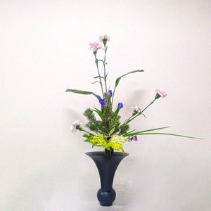 オクラレルカ,カーネーション,ナデシコ,タマシダ,ゴッドセフィアナの画像
