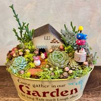 多肉寄せ植え,多肉箱庭,GSミニモニ。,どたま祭り,いつも心に太陽をの画像