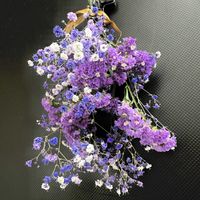 スターチス,かすみ草,ドライフラワー,スワッグの画像