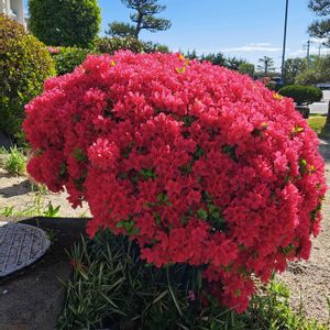 スマホ撮影,お出かけ先の画像