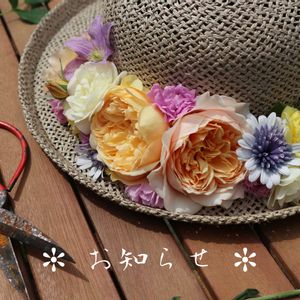 バラ,薔薇♪,イングリッシュガーデン,バラを楽しむ,バラのある暮らしの画像