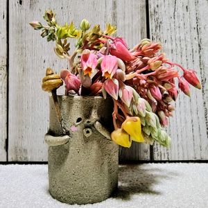 多肉植物,大好き,お気に入り♡,かわいい♡,多肉の花芽の画像