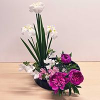 シャクヤク,ツツジ,芍薬,花菖蒲,ハナショウブ（花菖蒲）の画像