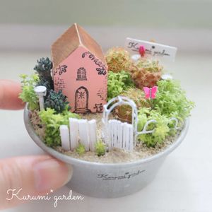 セダム寄せ,サボテン寄せ植え,多肉植物 寄せ植え,瑠璃兜,月影丸の画像