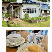 ミズバショウ,立山山麓,ほしつながり,たいせつななかま♡,粟巣野スキー場の画像
