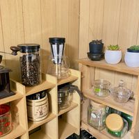 オブツーサ,ハオルチア,ドラゴンボール,多肉植物いろいろ,植物との暮らしの画像
