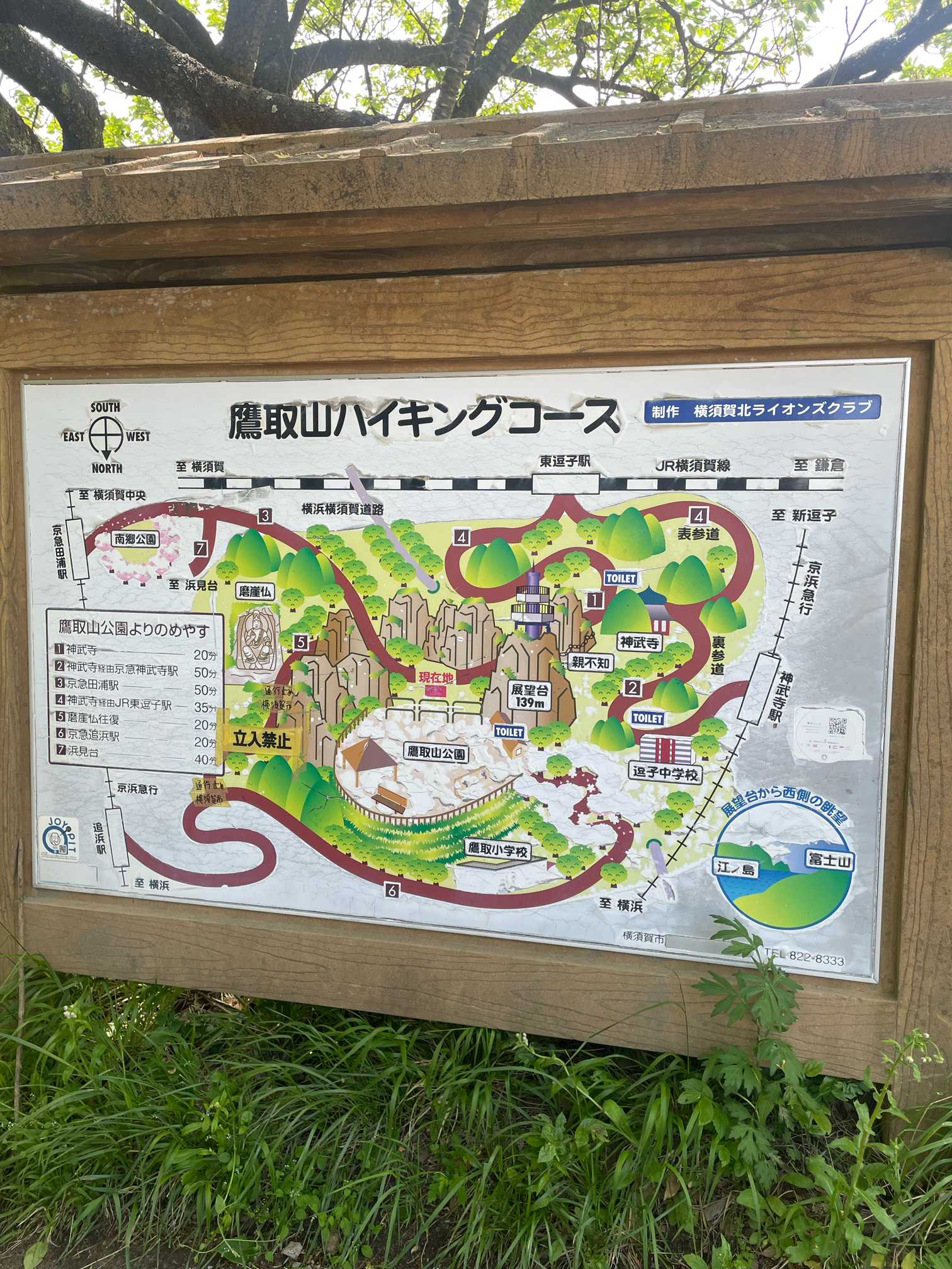 神奈川の4月のお花〜追浜・鷹取山・二子山・逗子〜｜🍀GreenSnap