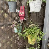 グリーンネックレス,ルビーネックレス,アーモンドネックレス,ドルフィンネックレス,多肉植物の画像